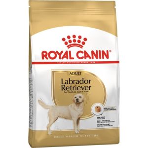 12 Kg Royal Canin Labrador Retriever Adult