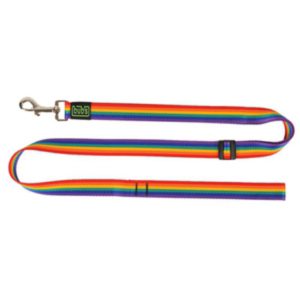 Correa Extensible Rainbow Ancho 25mm Longitud 1-1,6m
