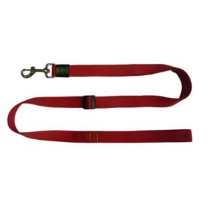 Correa Extensible Roja Ancho 25mm Longitud 1-1,6m
