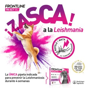 Frontline Tri Act 10-20kg 6 Pipetas