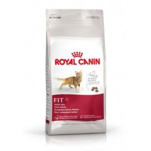 Royal Canin Fit 32 – Saco 400 g